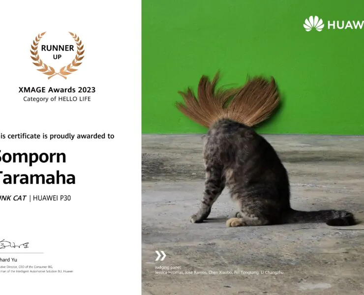 online use only Somporn Taramaha | Huawei | ชม 2 ภาพถ่ายระดับโลกที่ถ่ายด้วยมือถือจากฝีมือคนไทย ที่ชนะรางวัล HUAWEI XMAGE Awards 2023
