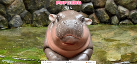 POPCAT หลบไปได้เวลา POPDENG รวมพลังคนไทยไปกดหน้าน้อง!