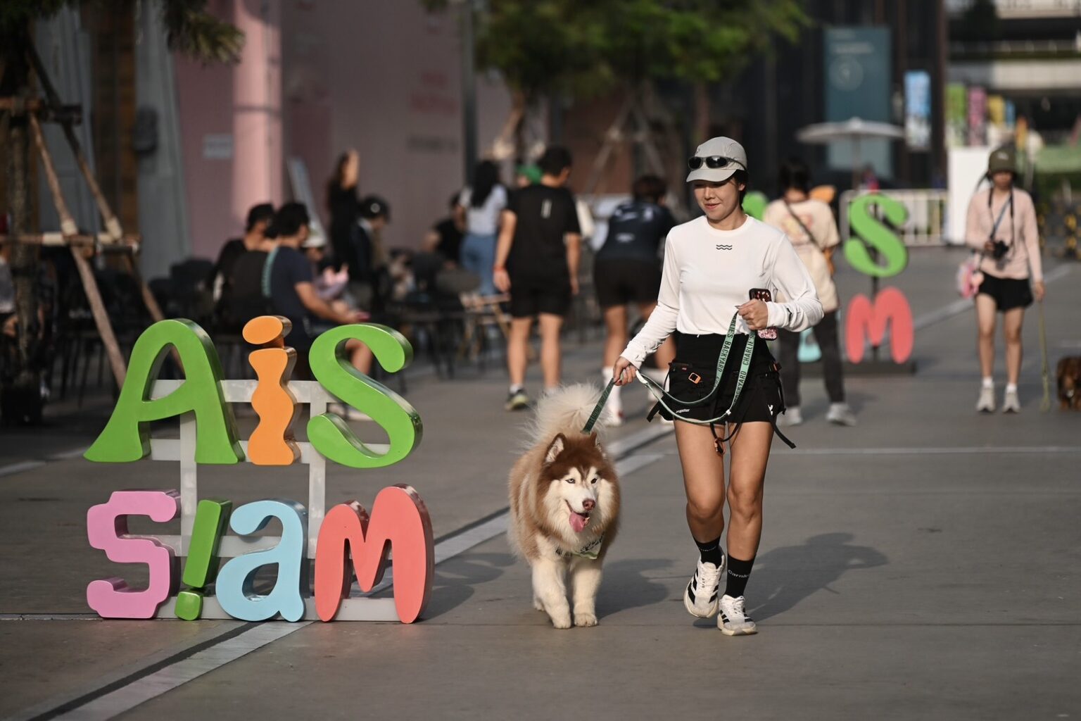 AIS เปิดตัว “SMART Pets Phone” พลิกโฉม Pet Tracker สู่ “สมาร์ตโฟนประจำตัว” ของสัตว์เลี้ยง เชื่อมต่อแบบเรียลไทม์ พร้อม GPS และ Video Call ไม่มีค่า Subscription รายเดือน